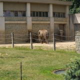 PT ZOO 23