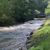 Adrenalin 081