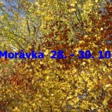 moravka 001,1