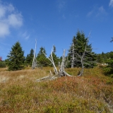 95