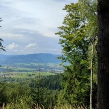 IMG_1803 (2)