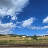 202